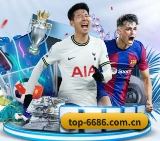6686体育 APP