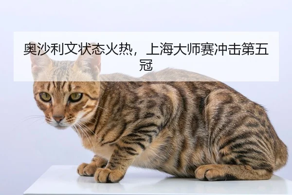 奥沙利文状态火热，上海大师赛冲击第五冠