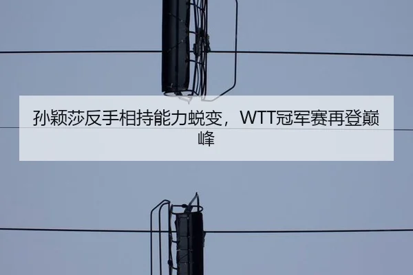 孙颖莎反手相持能力蜕变，WTT冠军赛再登巅峰